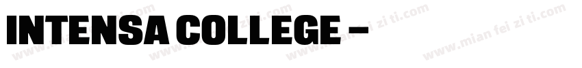 INTENSA COLLEGE 字体字体转换